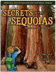 Book Cover: Secrets of the Sequoias